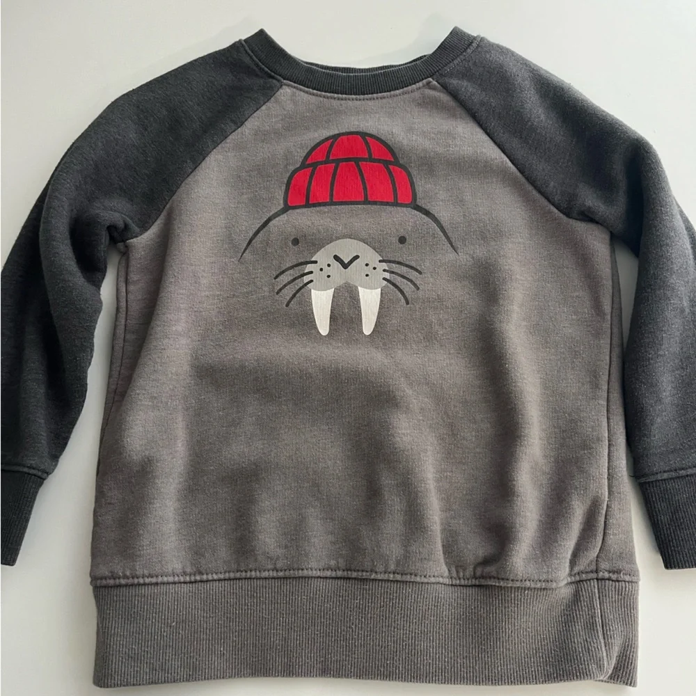 Bundle 3T‎ Jacket | Long Sleeve Shirt | Sweaters - Picture 7 of 7
